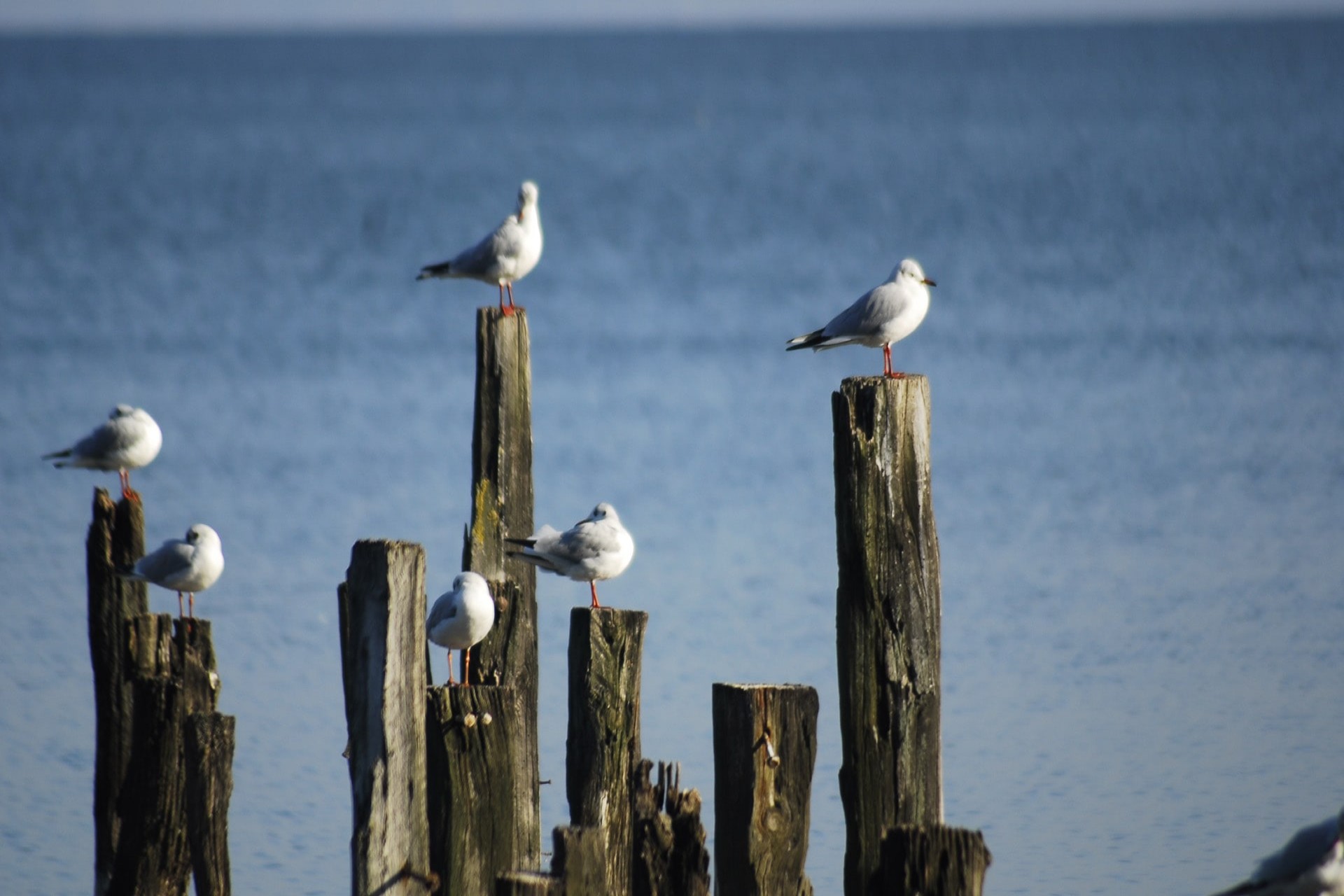 2022_09_29-JS18lHgO3VmFMFhuXBZv 2022_09_29-JS18lHgO3VmFMFhuXBZv