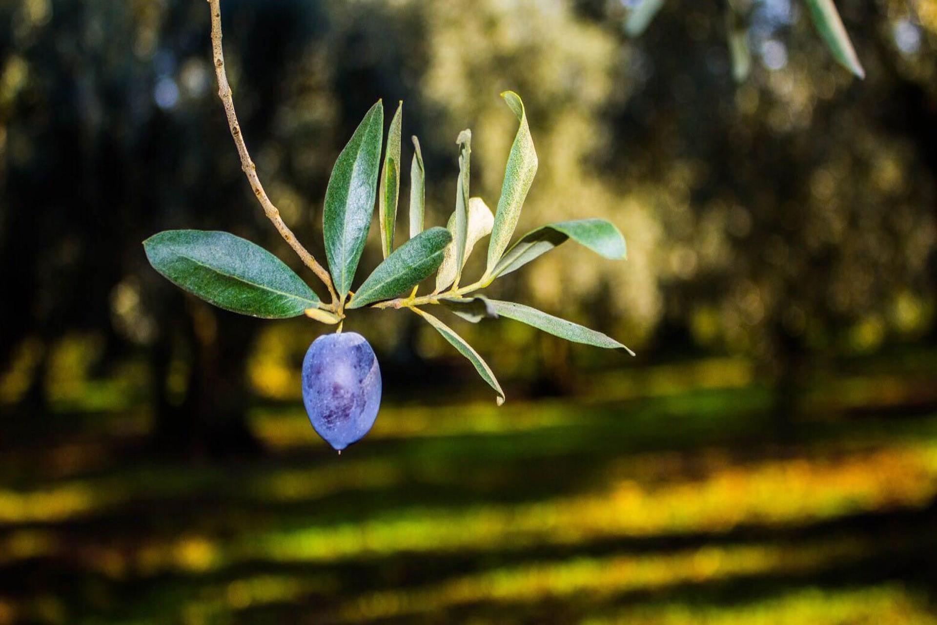 2022_09_29-TSOpEd7n53fKgQSH6uzU 2022_09_29-TSOpEd7n53fKgQSH6uzU