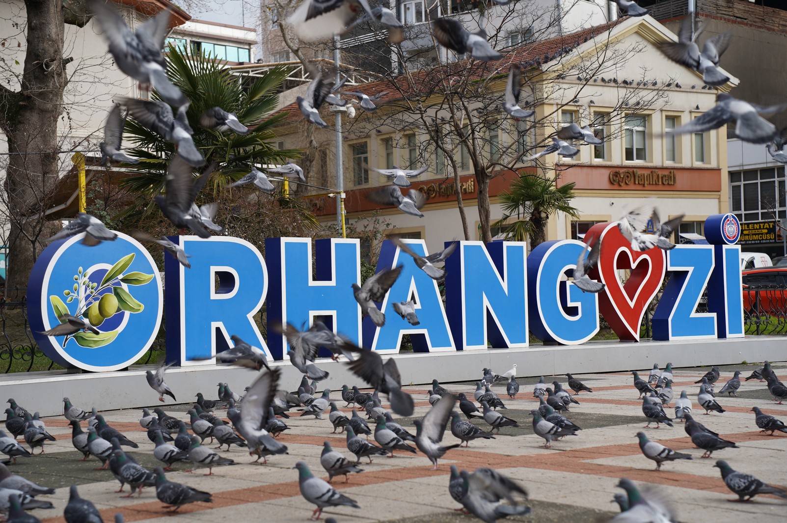 orhangaziiis orhangaziiis